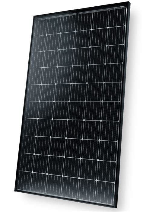 SOLARWATT Vision 60M (315 Wp).